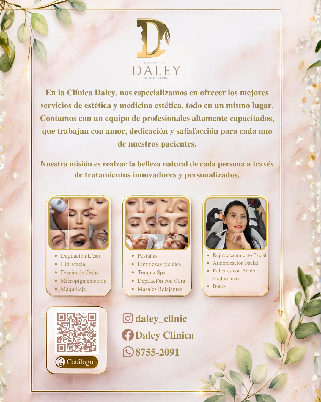 Daley — Design 2