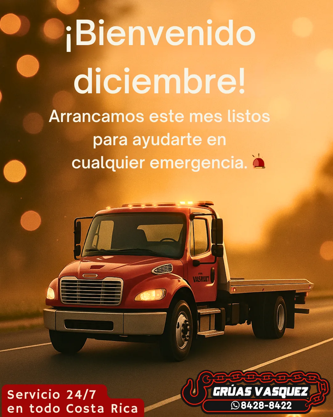 Grúas Vasquez — Design 1