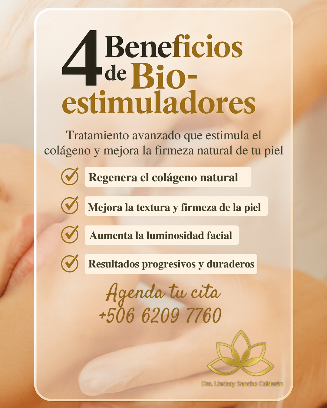 Lindsay — Design 1